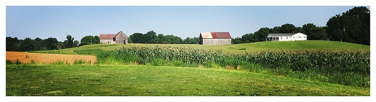 calvert county barns (2)