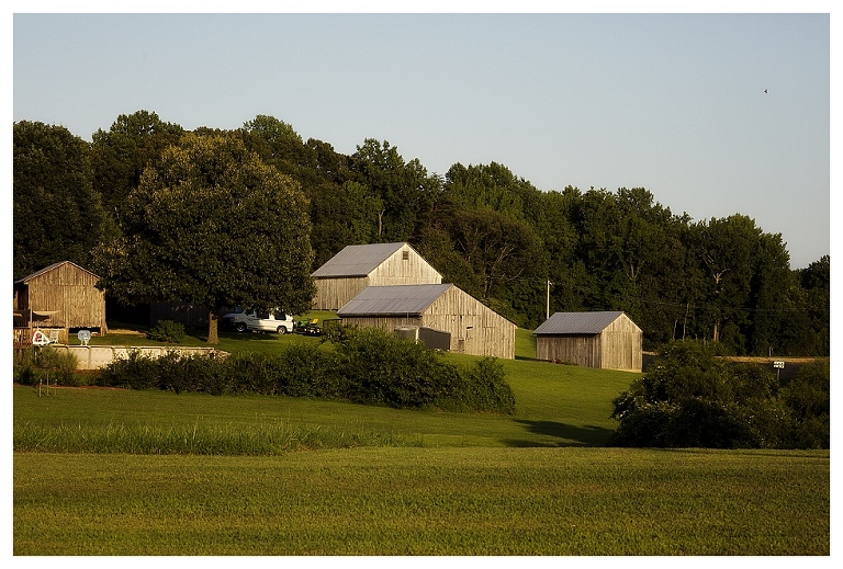 calvert county barns (3)