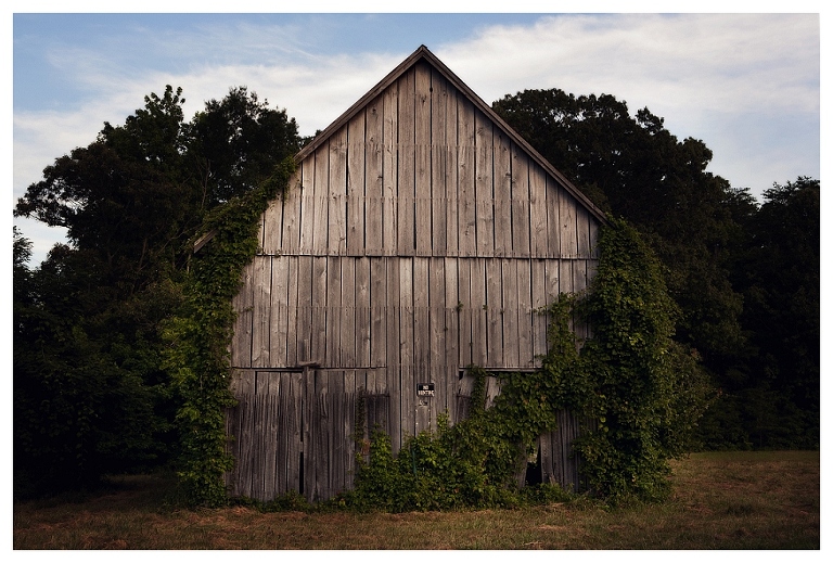 calvert county barns (4)