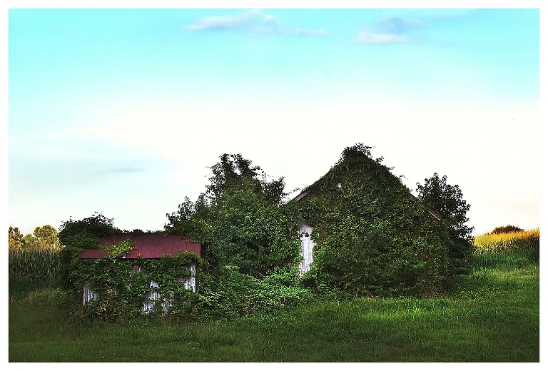 calvert county barns (5)
