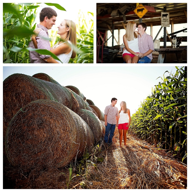 eastern shore engagement session (3)