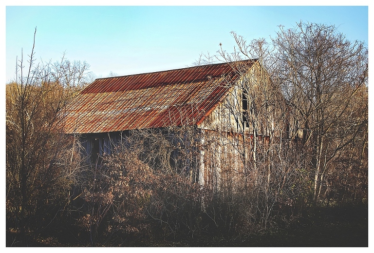 calvert county barns (5)
