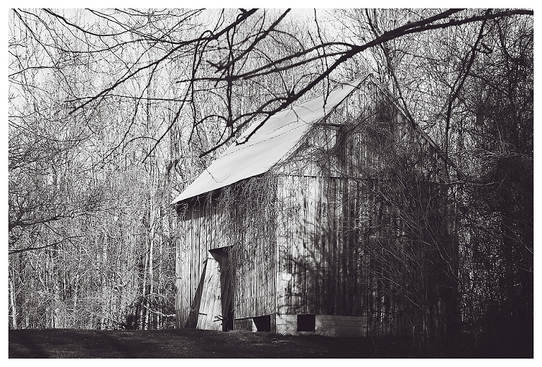 calvert county barns (7)