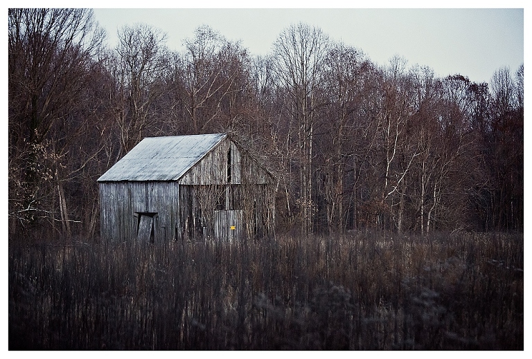 calvert county barns (8)
