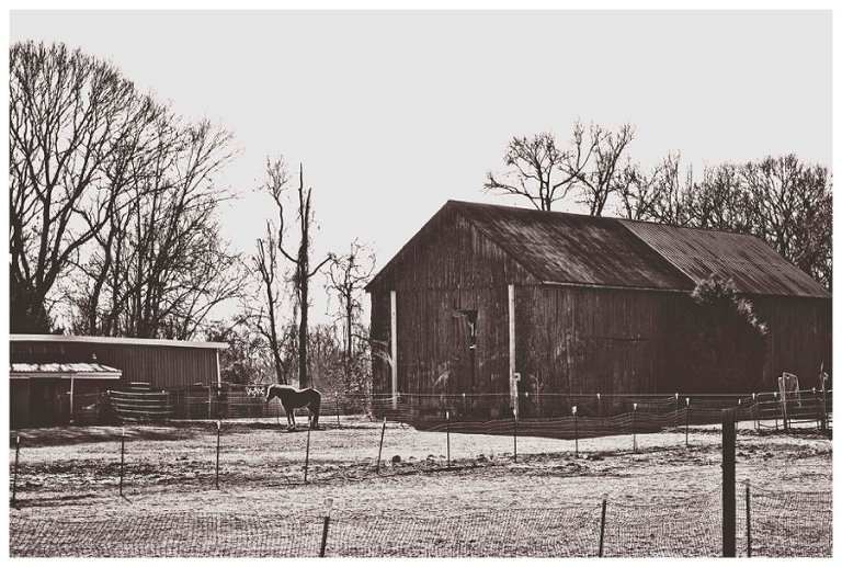 barns of calvert county-11