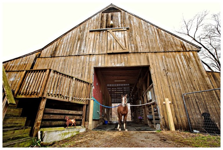 barns of calvert county-4