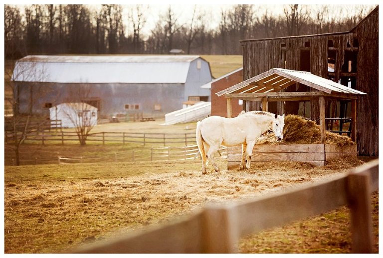 calvert county barns-1