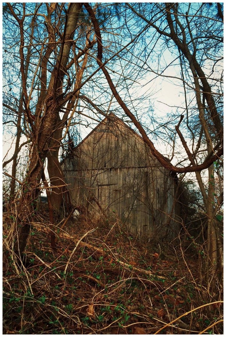 calvert county barns-12