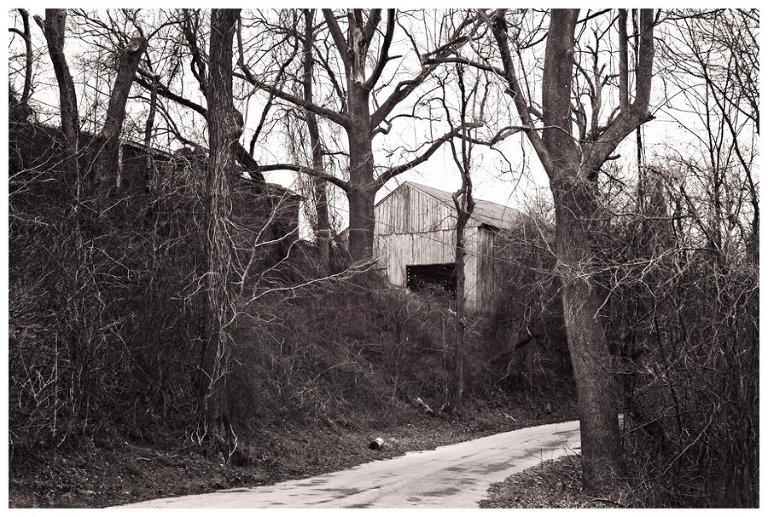 calvert county barns-14