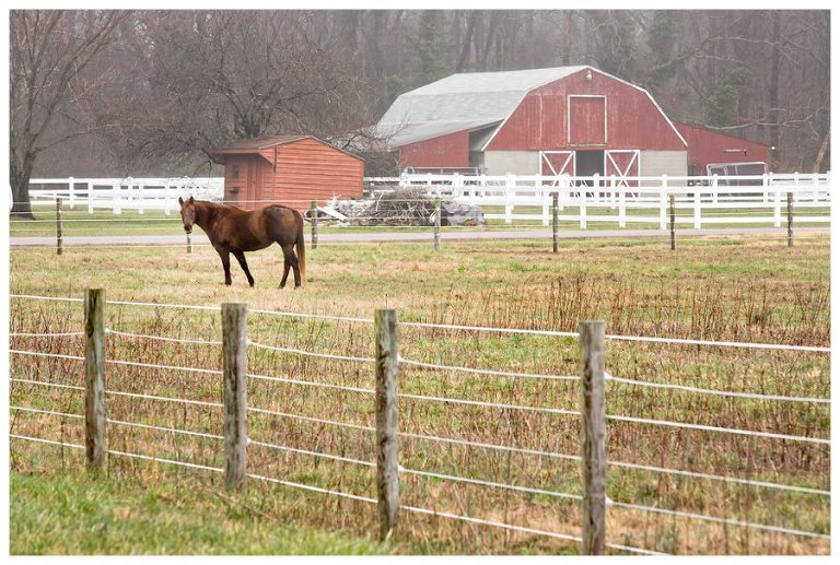 calvert county barns-15