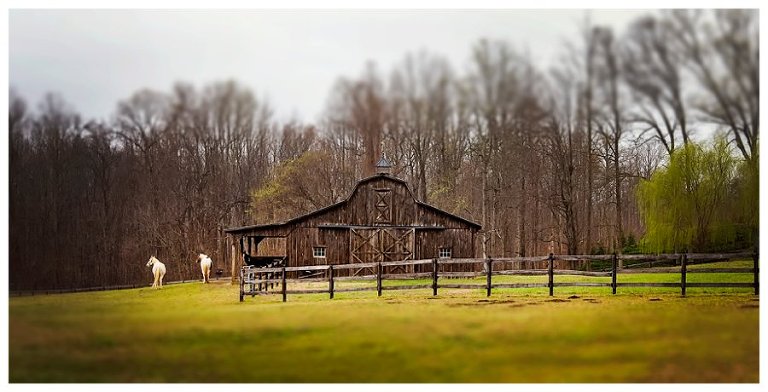 calvert county barns-21