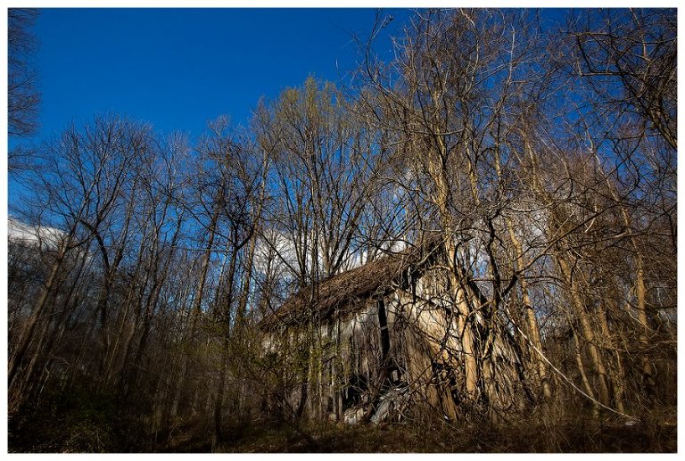 calvert county barns-22