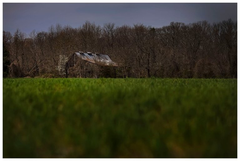 calvert county barns-24