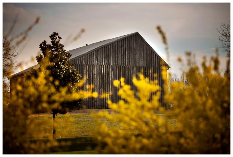 calvert county barns-26