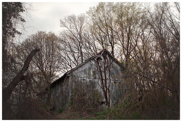 calvert county barns-27