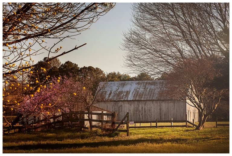 calvert county barns-29