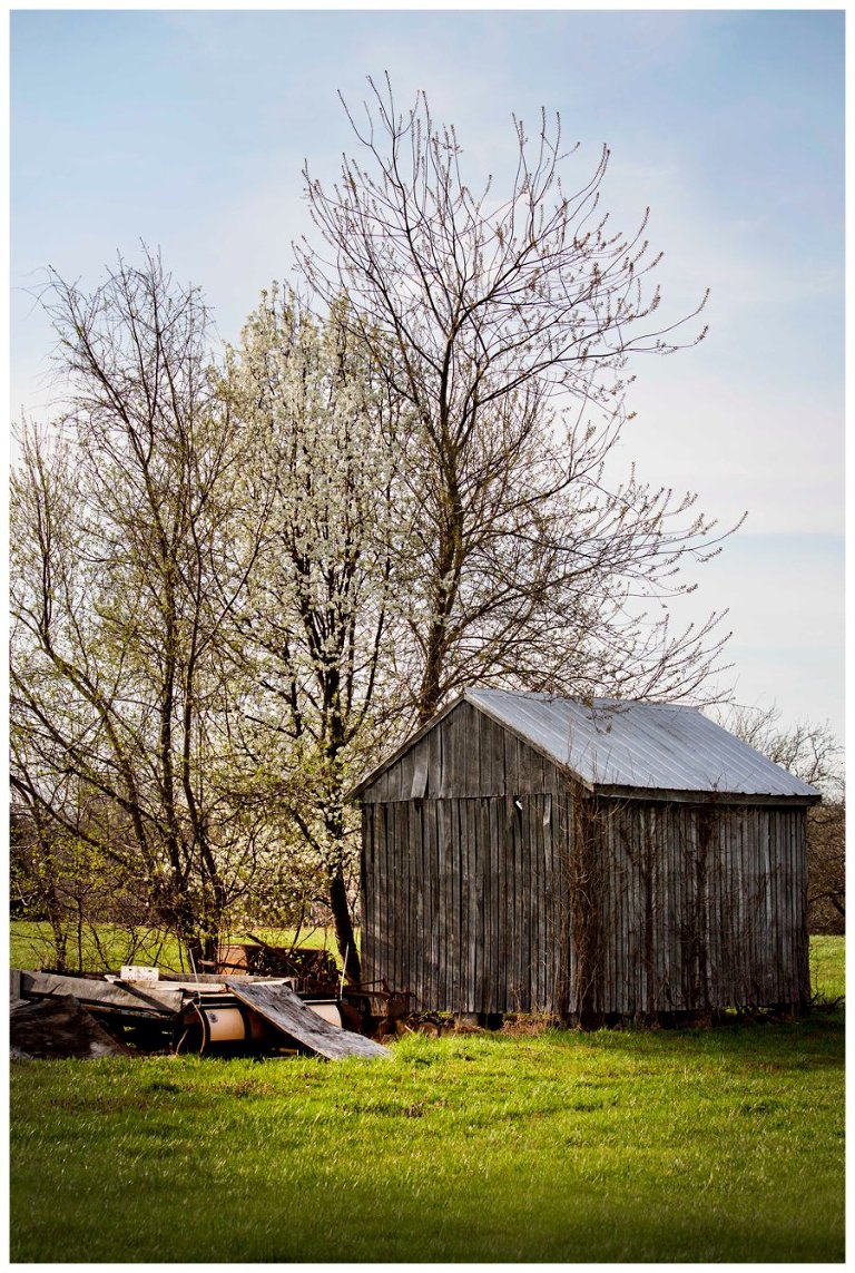 calvert county barns-31
