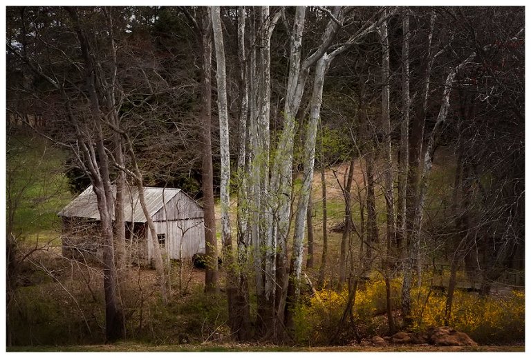 calvert county barns-32