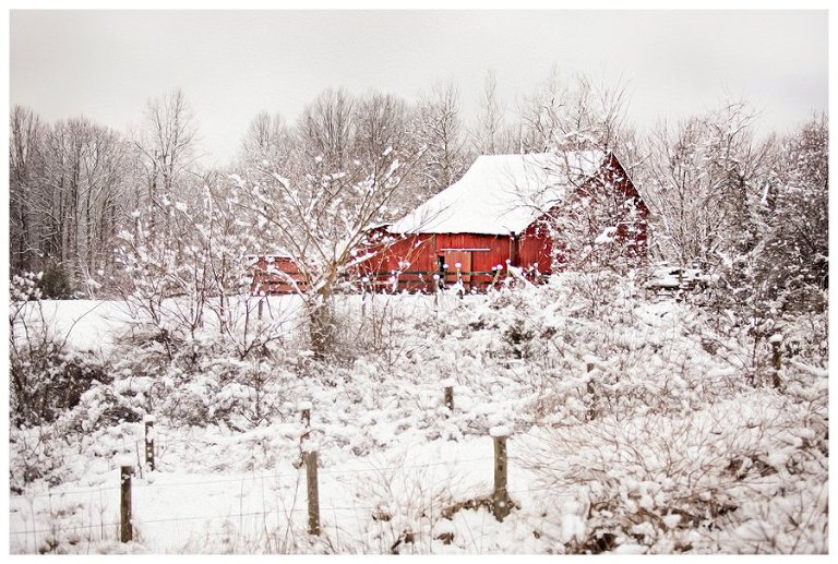 calvert county barns-5